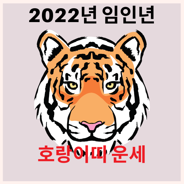 2022년 호랑이띠 운세 나이 성격 궁합 알아볼께요