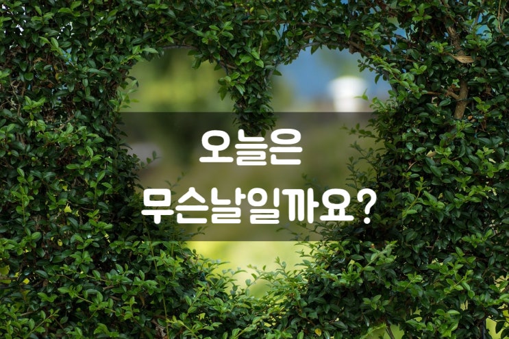  오늘은 간단히 1포 하고 싶은 날