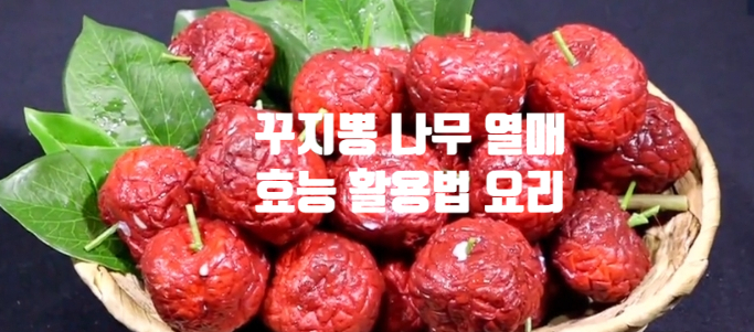 꾸지뽕 나무 영양성분 효능 활용법 (ft. 분말 가루 차 열매 즙)