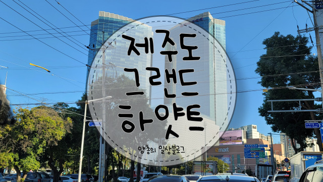 내돈내산) 그랜드 하얏트 제주 킹룸 오션뷰 후기(with. 실외 수영장)