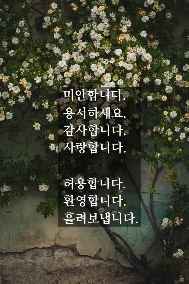  호오포노포노- 나는 누구인가, 정화의 방법 by 이하레아카라 휴렌박사