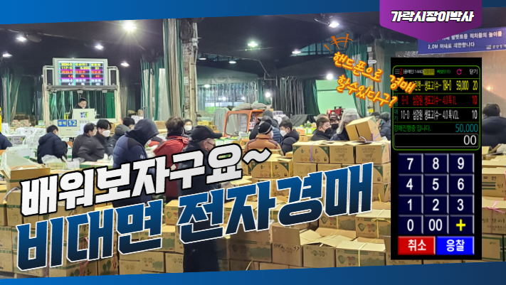  [가락시장 이모저모] 점포에서 핸드폰으로 경매에 참가할 수 있는 방법을 알려드립니다~(비대면 전자경매)