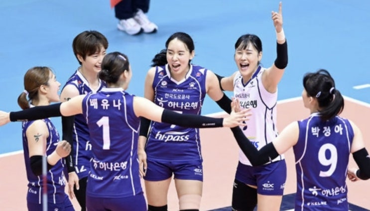 KOVO 프로배구 20일 국내 남자배구 대한항공 KB손해보험 여자배구 GS칼텍스 도로공사