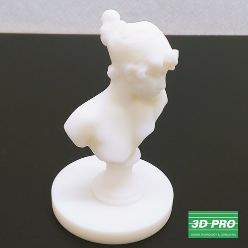 인물 조각상 모형물/인물 형상을 3D프린터로 제작[SLA 레이저 방식/ABS Like 레진 소재/쓰리디프로/3D프로/3DPRO]
