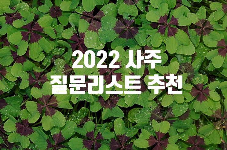  사주 볼 때 꼭! 해야하는 질문리스트 총정리