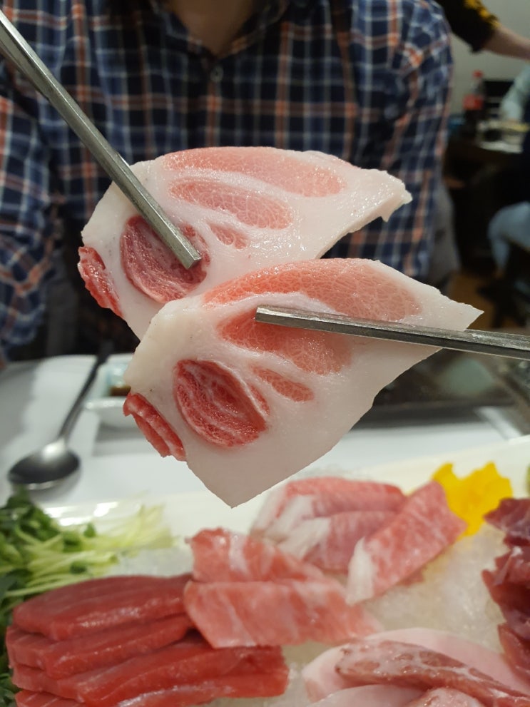  분당 참치 이한진푸른참치 분당 일식집 후회없는선택