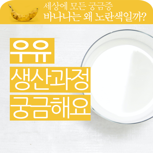 우유의 생산 유통과정이 너무 궁금합니다!!