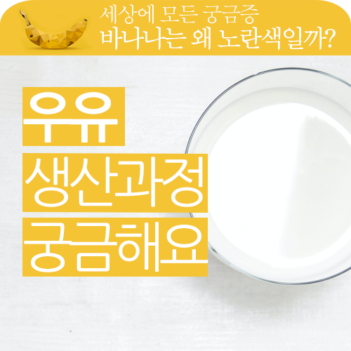 우유의 생산 유통과정이 너무 궁금합니다!! 우유의 생산 유통과정이 너무 궁금합니다!!