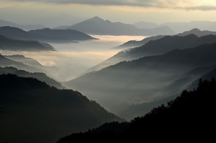  시내산은 경기도 과천에 있나요?(청계산과 시내산)