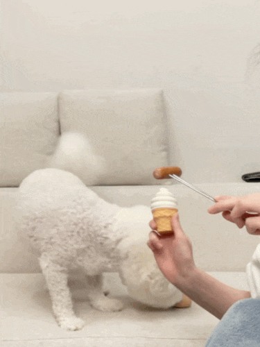  강아지 라텍스 장난감 [바잇미]