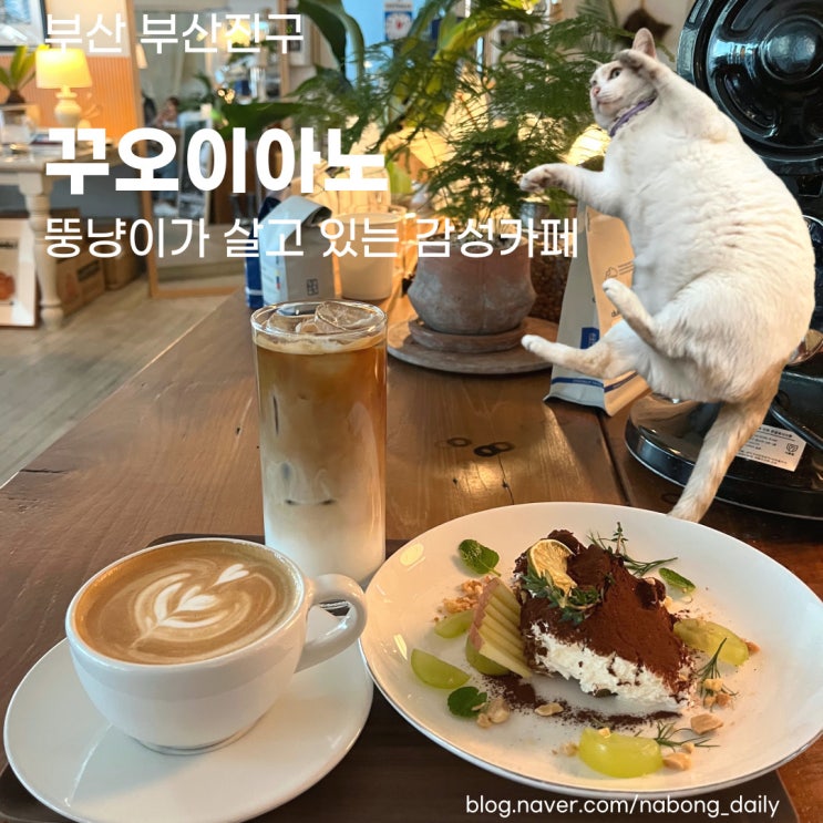  부산 전포 카페 :: 꾸오이아노 고양이가 있는 가죽공방 카페