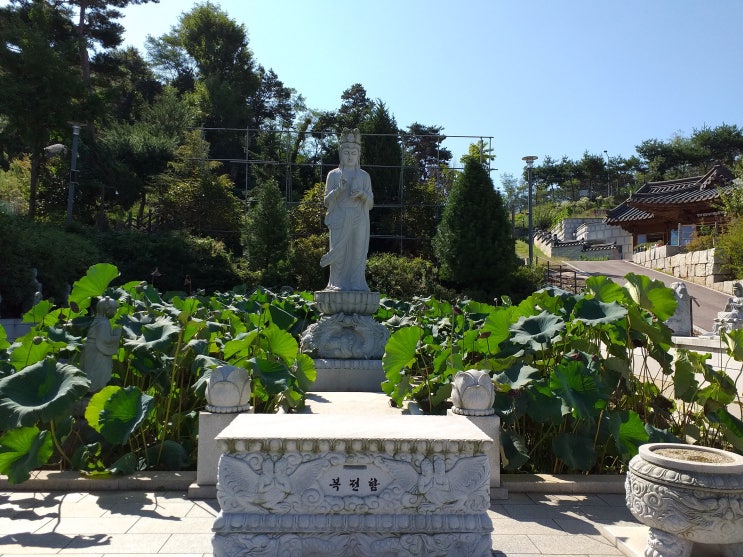  원효대사가 해골물을 마시고 깨달음을 얻은 고찰.  평택 수도사(修道寺)  -  1