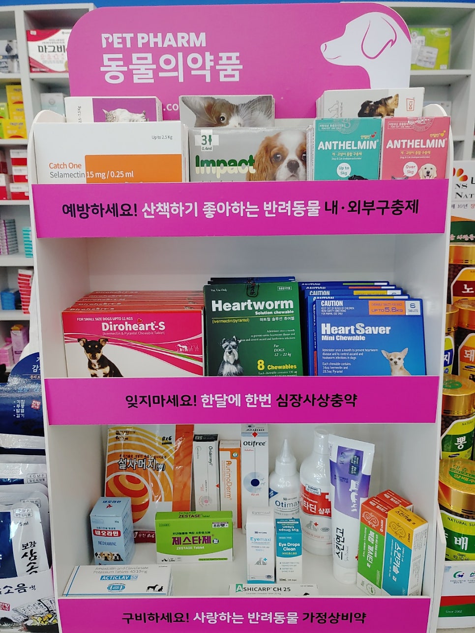신평화약국 사진 4