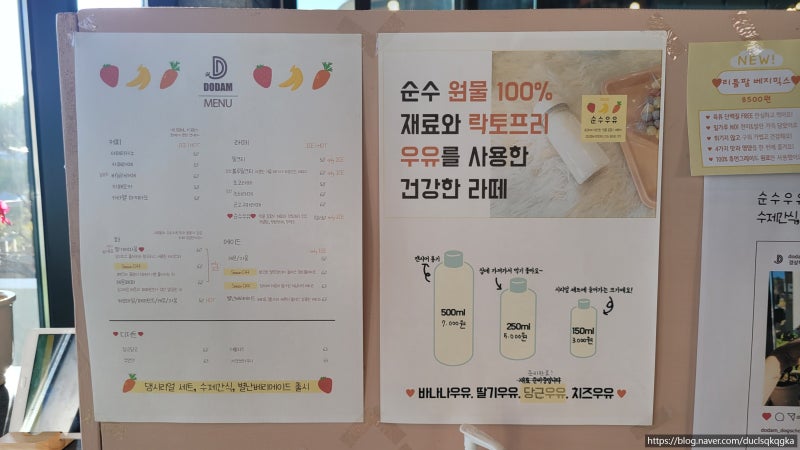 사진 5