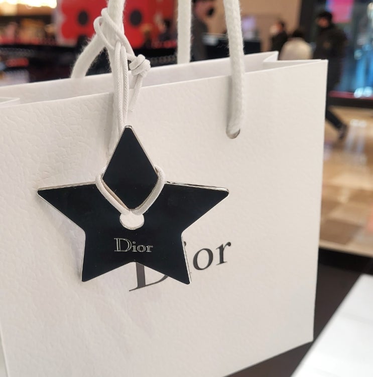 롯데월드몰 디올(Dior) 루즈디올766 로즈하퍼스 : 쿨톤 립스틱 추천