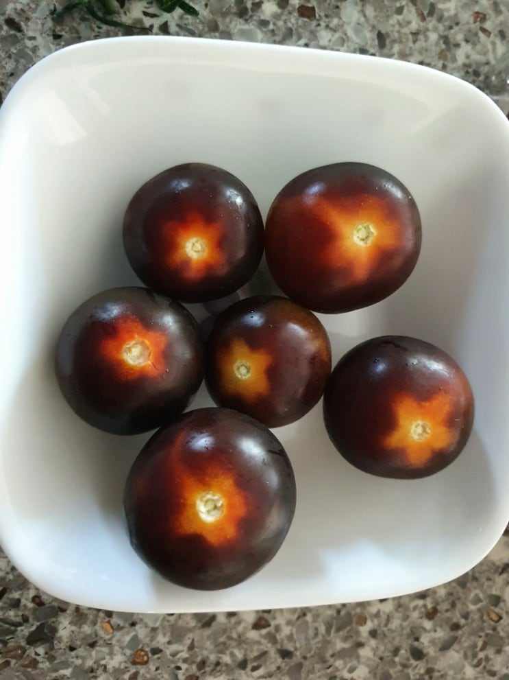  별마토