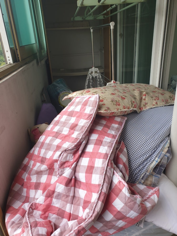  초기에 발견되어 쉽게 빈집 만들기를 마친 일산 쓰레기 집 청소