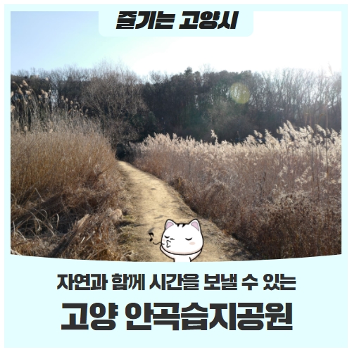 아름다운 생태공원 – 안곡습지공원 아름다운 생태공원 – 안곡습지공원