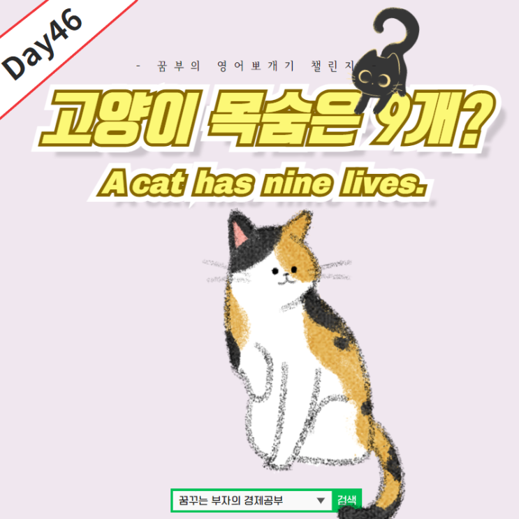 Day46 : A cat has nine lives.영어속담