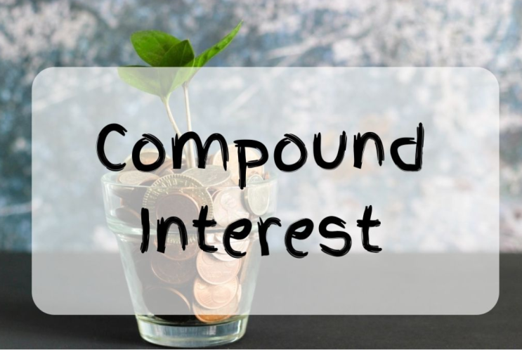  복리(Compound Interest)의 마법, 과연 그 진실은?