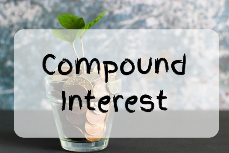 복리(Compound Interest)의 마법, 과연 그 진실은?