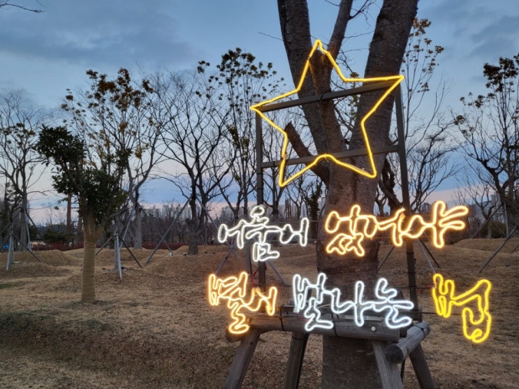 야경도 이쁘고 산책하기 좋았던 "부산시민공원" 부산 빛축제