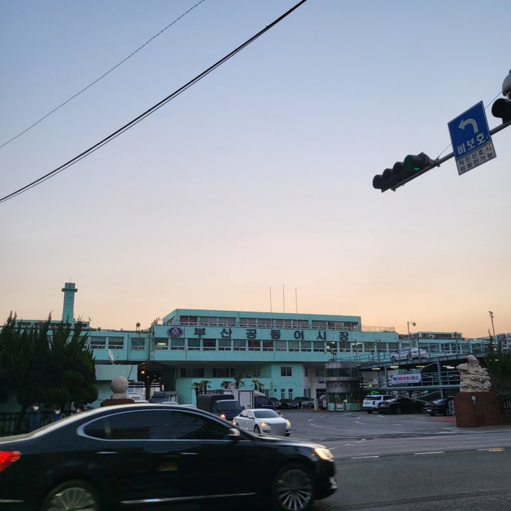  부산공동어시장 어시장 경매현장