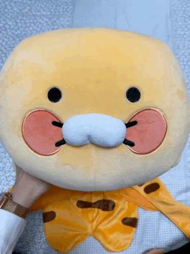 파리바게트 * 카카오프렌즈 콜라보 춘식이 어흥쿠션 수령후기 파리바게트 * 카카오프렌즈 콜라보 춘식이 어흥쿠션 수령후기