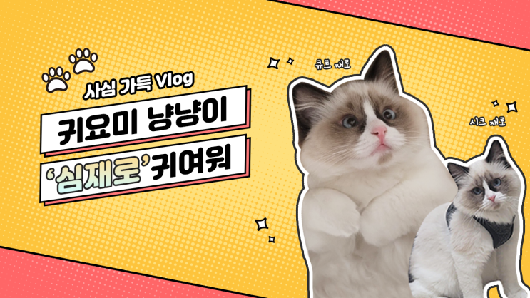  9강_정리