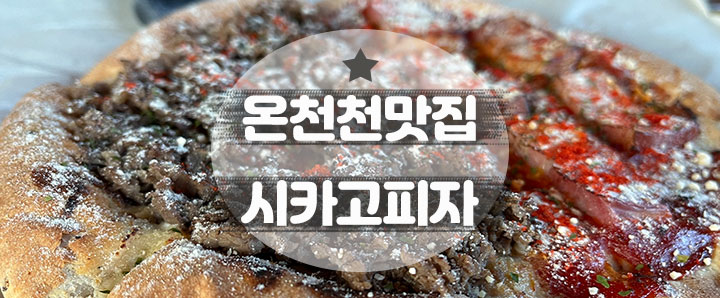 [온천천] 시카고피자가 너무 먹고 싶을 땐 애견동반 가능한 온천천 카페거리로 가자!