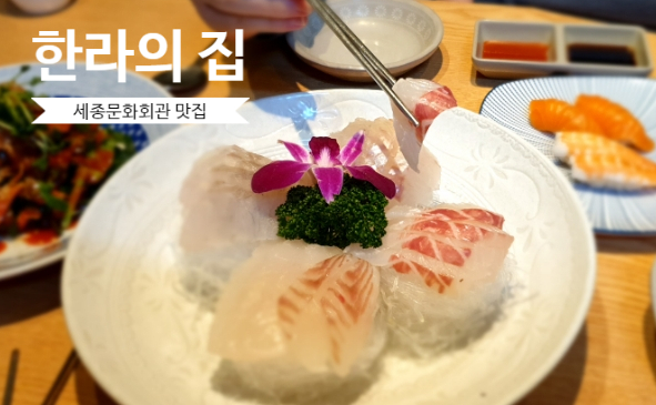  세종문화회관 맛집 광화문 횟집 한라의집에서 제주의 맛을 느끼다~