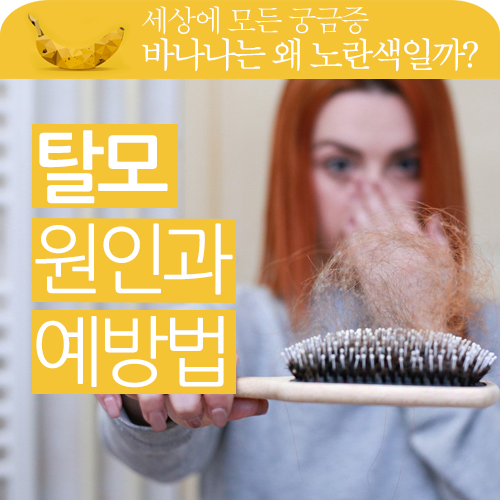 머리카락이 너무 빠져!! 탈모 예방법과 원인을 알아볼게요!! 머리카락이 너무 빠져!! 탈모 예방법과 원인을 알아볼게요!!