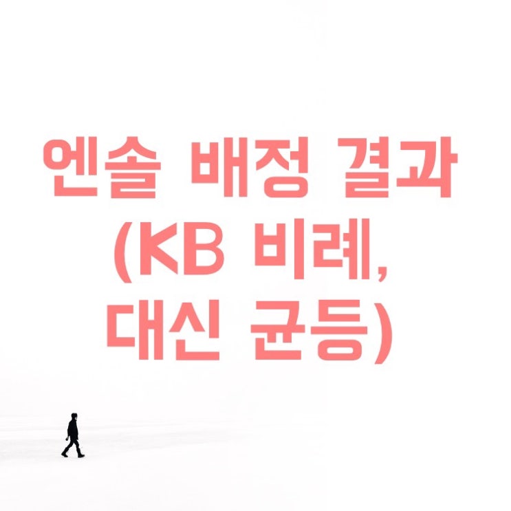  엔솔 공모주 배정(KB 비례, 대신 균등 청약) 총 12주(ft. 대신증권 인증서 복사)