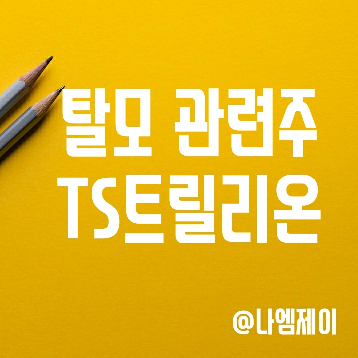 대선테마 및 탈모관련주 - TS트릴리온 주가 대선테마 및 탈모관련주 - TS트릴리온 주가