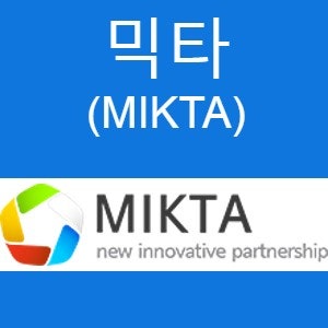 믹타(MIKTA)-멕시코, 인도네시아, 대한민국, 터키, 호주의 국가 협의체