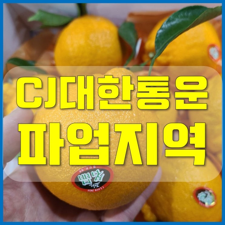  cj택배 파업지역 전국구 요약정리[대한통운]
