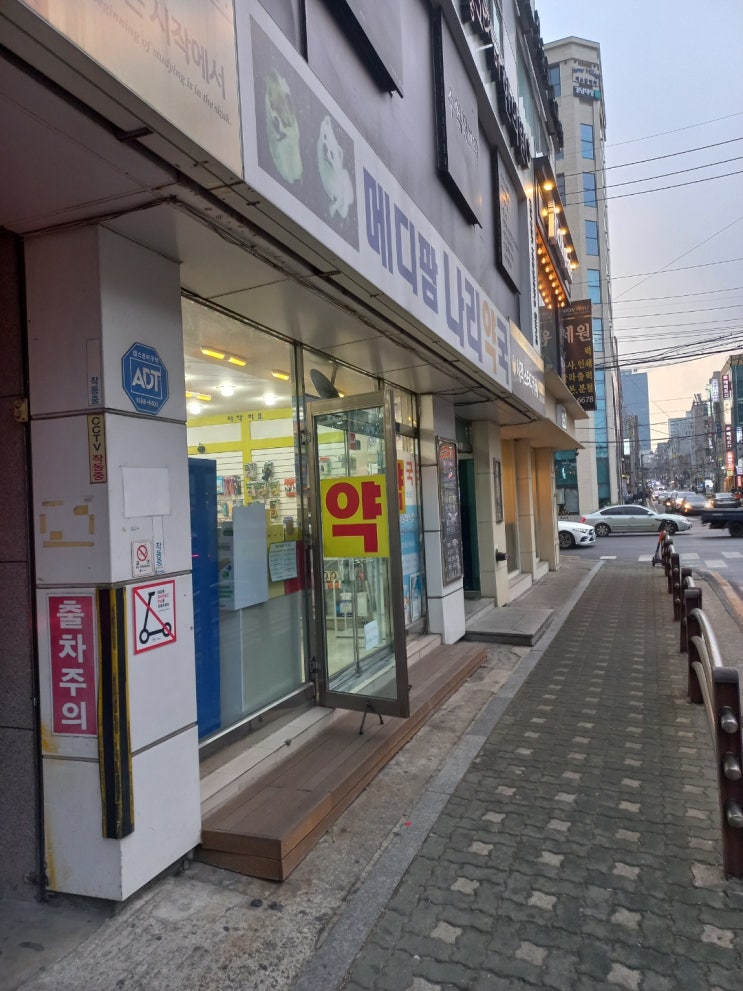  약국 약사 누구도 모르는 돈 쉽게 버는 비법을 알려드립니다.