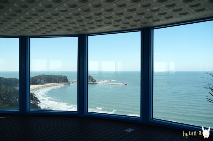 충남 태안 가볼만한곳 천리포수목원 등 여행 코스 충남 태안 가볼만한곳 천리포수목원 등 여행 코스