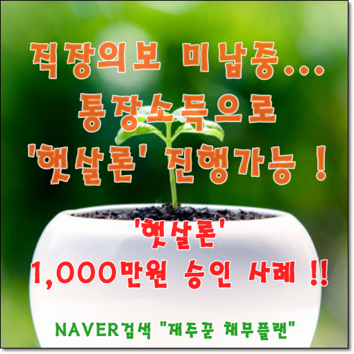  의료보험 미납 통장소득으로 햇살론 승인