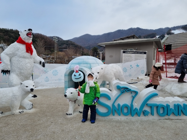 경기 포천) 베어스타운 스노우타운 눈썰매장 (+카드 할인, 제휴 할인) 경기 포천) 베어스타운 스노우타운 눈썰매장 (+카드 할인, 제휴 할인)