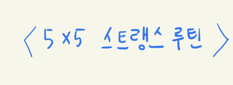  운동이 뭐가 이리 많아? 다 귀찮을땐? <5×5 스트랭스 루틴>
