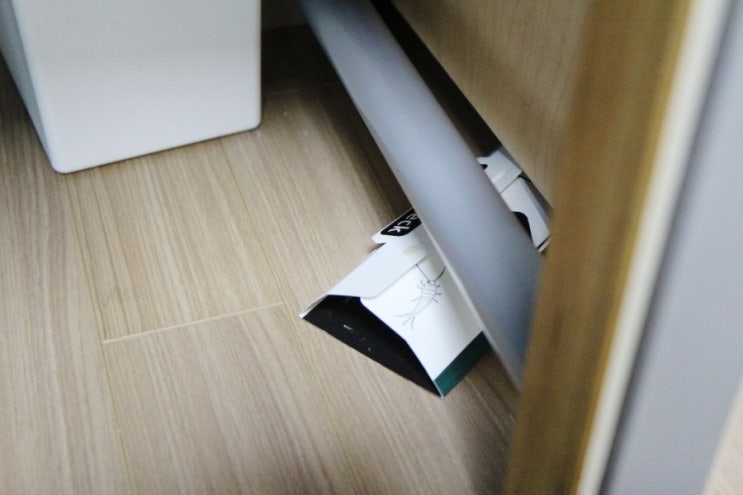 좀벌레 퇴치한 4년 비법 그것이 알고 싶다 내돈내산 팁 5 좀벌레 퇴치한 4년 비법 그것이 알고 싶다 내돈내산 팁 5