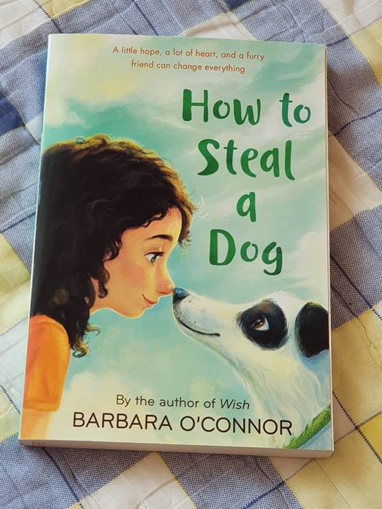  [영어원서]How to Steal a Dog/Barbara O'Connor 후기
