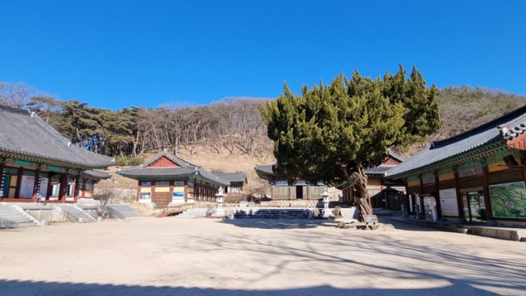  영천 사찰여행(은해사)