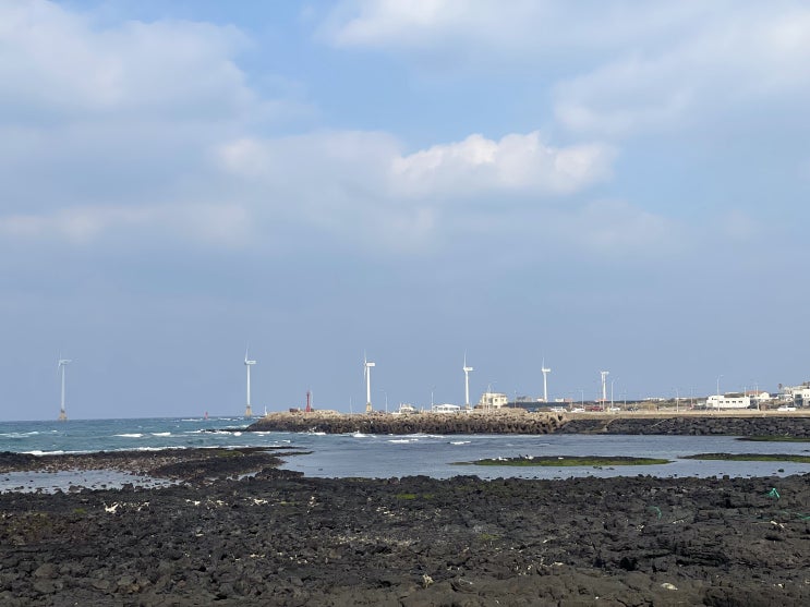 연말에 떠난 제주도 일기/신창해안풍차도로 연말에 떠난 제주도 일기/신창해안풍차도로
