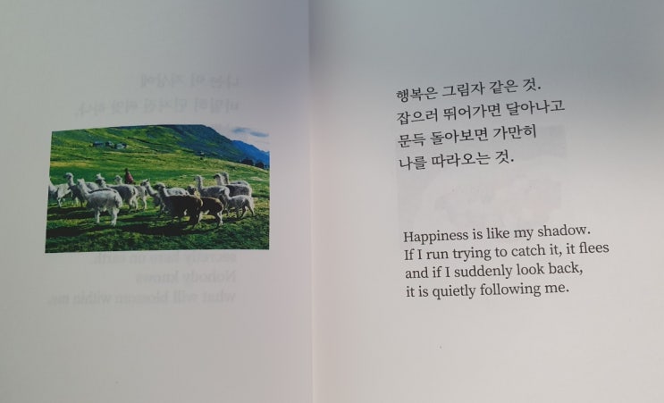 행복은 그림자 같은 것 (feat.치킨)