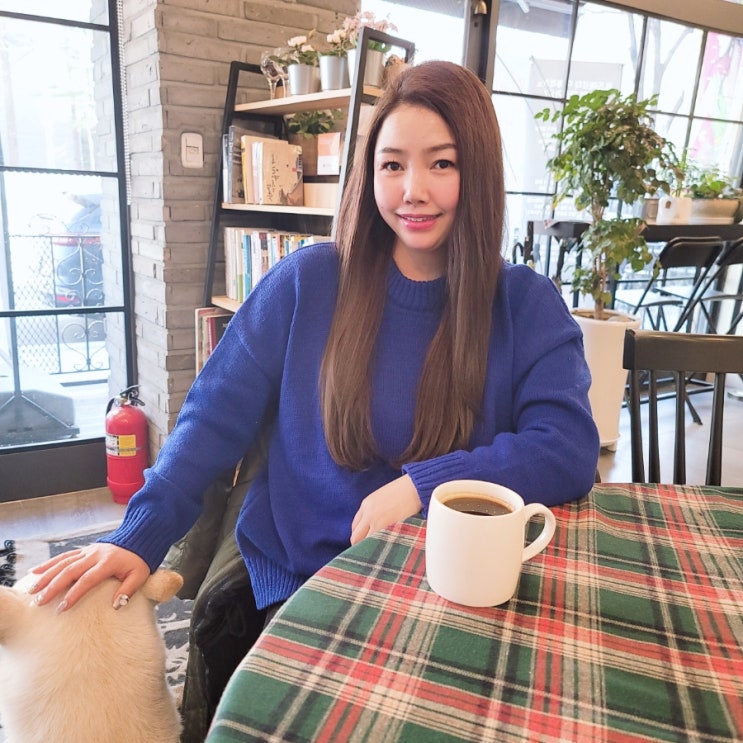  귀여웠던 안산조애나디저트 구돌이