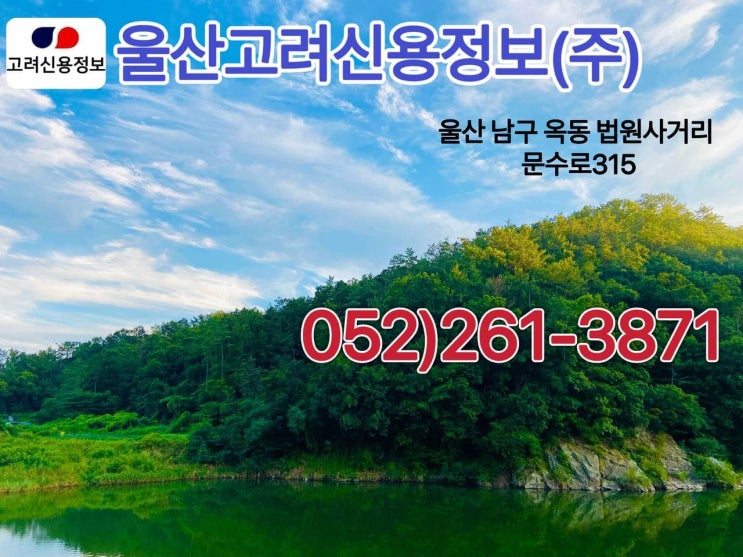  고려신용정보 울산지점 울산/경주/양산 [채권추심/신용조사/재산조사]