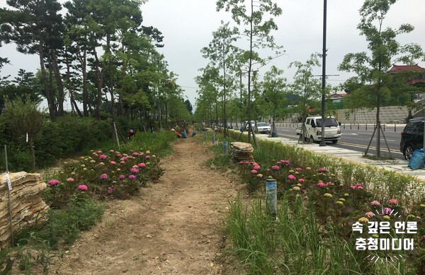  [충청미디어] 충북도, 올해 295원 들여 도시숲 대폭 확충한다