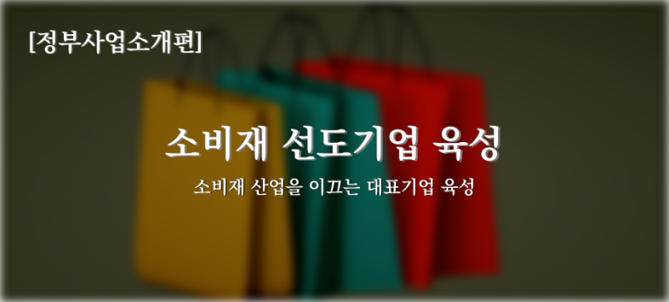  [2022년 정부지업사업소개] 산업통상자원부, 소비재 선도기업 육성